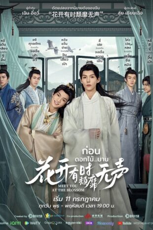 Meet You at the Blossom