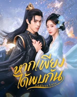 หากเพียงได้พบกัน-Endless-Love